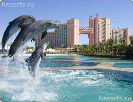 Atlantis Paradise Island Resort 3